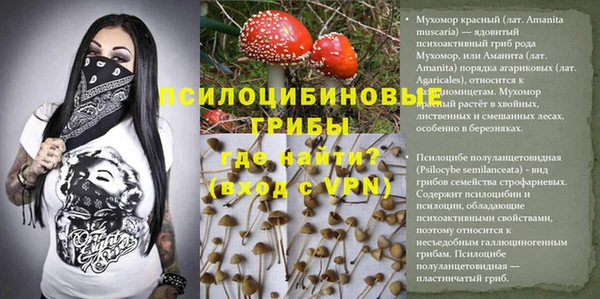а пвп мука Козельск