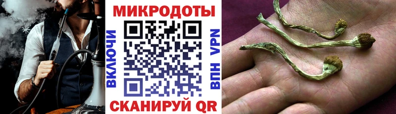 shop телеграм  Чаплыгин  Галлюциногенные грибы мухоморы 